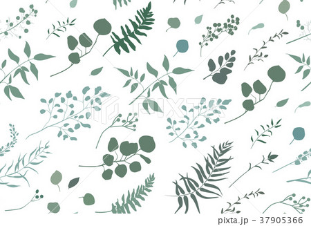 Seamless pattern of Eucalyptus palm fern foliage Seamless pattern of Eucalyptus palm fern foliage 37905366