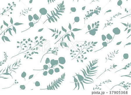 Seamless pattern of Eucalyptus palm fern foliage 37905368
