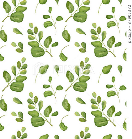 Vector Seamless greenery patten background 37905372
