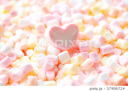 マシュマロハート マシュマロハート 37906724