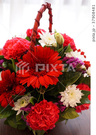 Flower Basket(花かご、フラワーバスケット) Flower Basket(花かご、フラワーバスケット) 37908481