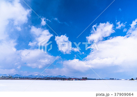 《北海道》冬の大地・雪に覆われたで田園風景 37909064