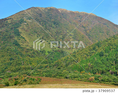 三瓶山 三瓶山 37909537