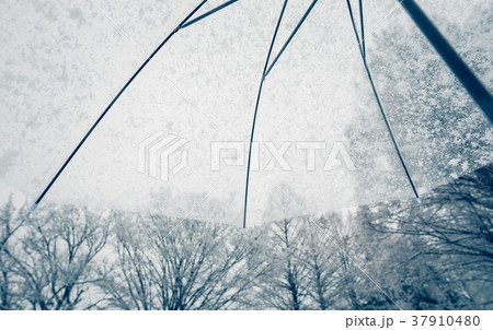雪の日 37910480