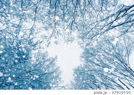 雪の日 雪の日 37910550