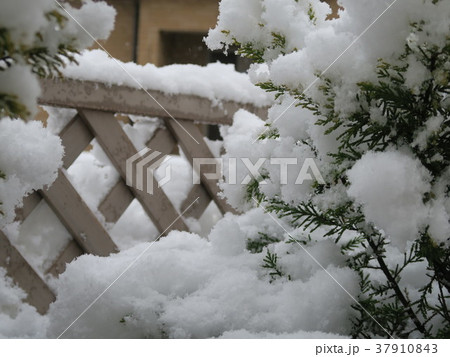 庭先の雪 37910843