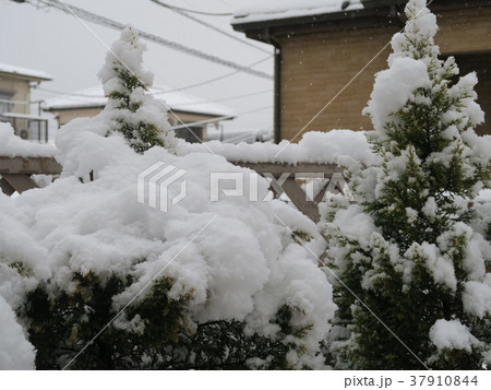 庭先の雪 37910844