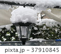 庭先の雪 37910845