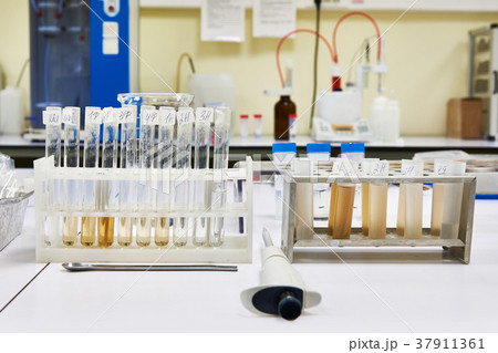 Research of biological material in laboratory Research of biological material in laboratory 37911361