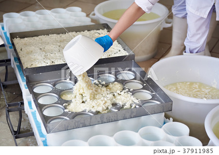 Factory workers fill molds for production 37911985