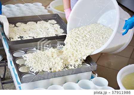 Factory workers fill molds for production 37911986