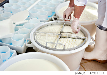 Mixing cheese material for the production 37911994