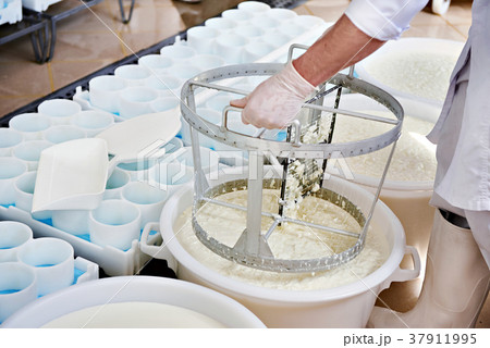 Mixing cheese material for the production Mixing cheese material for the production 37911995