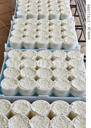 Molds with semifinished for production Molds with semifinished for production 37911999