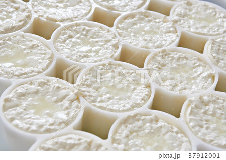 Molds with semifinished for production camembert Molds with semifinished for production camembert 37912001