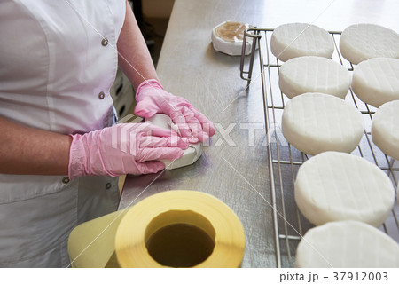 Manual packaging of cheese camembert Manual packaging of cheese camembert 37912003