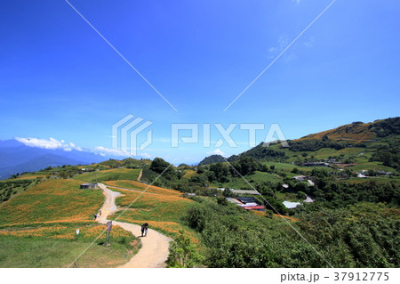 台湾 花蓮 東方 37912775