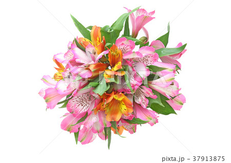 アルストロメリアの花束 37913875