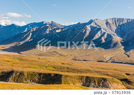 Autumn in Denali National Park Alaska 37913936