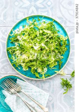 Frize lettuce salad, fresh frisee 37914842