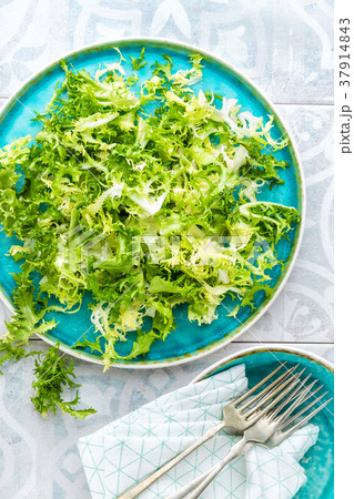 Frize lettuce salad, fresh frisee 37914843