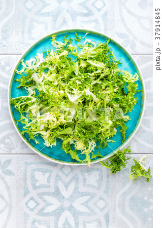 Frize lettuce salad, fresh frisee 37914845