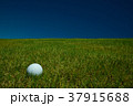 ゴルフ日和 37915688