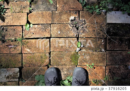 苔の生えた古いレンガと靴 見下ろした地面の写真素材
