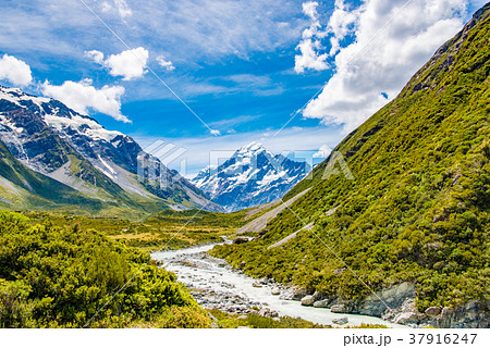 マウントクック国立公園のフッカーバレートラック マウントクック国立公園のフッカーバレートラック 37916247