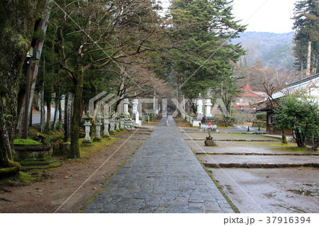 谷汲山華厳寺.78(岐阜県揖斐郡揖斐川町谷汲) 谷汲山華厳寺.78(岐阜県揖斐郡揖斐川町谷汲) 37916394