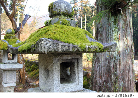 谷汲山華厳寺.80(岐阜県揖斐郡揖斐川町谷汲) 谷汲山華厳寺.80(岐阜県揖斐郡揖斐川町谷汲) 37916397