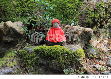 谷汲山華厳寺.105（岐阜県揖斐郡揖斐川町谷汲） 37916423