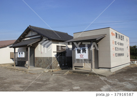 冬の江川海岸潮干狩場(江川海岸) 冬の江川海岸潮干狩場(江川海岸) 37916587