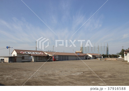 冬の江川海岸潮干狩場（江川海岸） 37916588