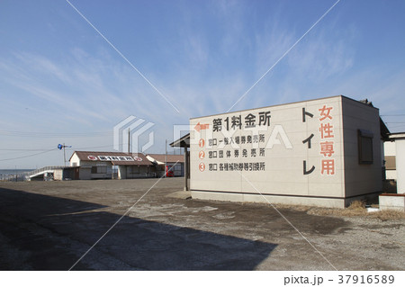 冬の江川海岸潮干狩場(江川海岸) 冬の江川海岸潮干狩場(江川海岸) 37916589