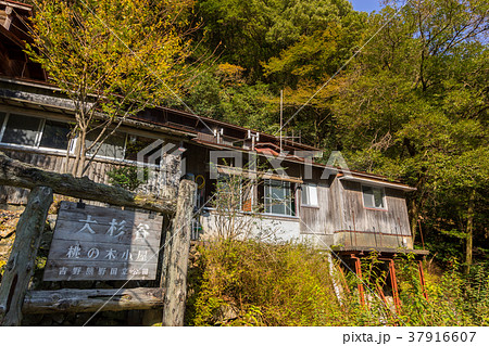 日本三大渓谷・秘境百選、大杉谷の桃の木小屋(三重県) ※作品コメント欄に撮影位置情報有り 日本三大渓谷・秘境百選、大杉谷の桃の木小屋(三重県) ※作品コメント欄に撮影位置情報有り 37916607