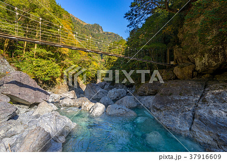 日本三大渓谷・秘境百選、大杉谷の桃の木吊橋(三重県) ※作品コメント欄に撮影位置情報有り 日本三大渓谷・秘境百選、大杉谷の桃の木吊橋(三重県) ※作品コメント欄に撮影位置情報有り 37916609