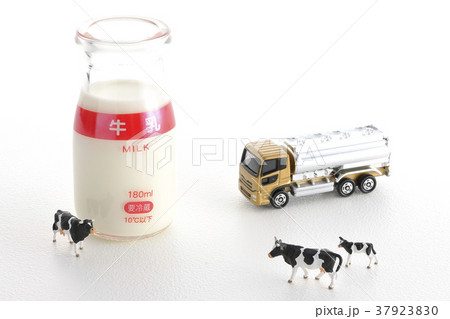 酪農 酪農 37923830