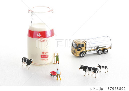 酪農 酪農 37923892