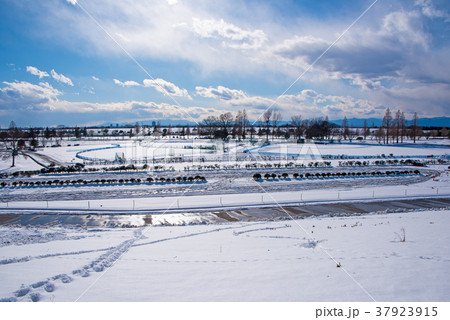 関東地方の大雪 荒川土手より上流 秩父 丹沢 方面を望む 関東地方の大雪 荒川土手より上流 秩父 丹沢 方面を望む 37923915
