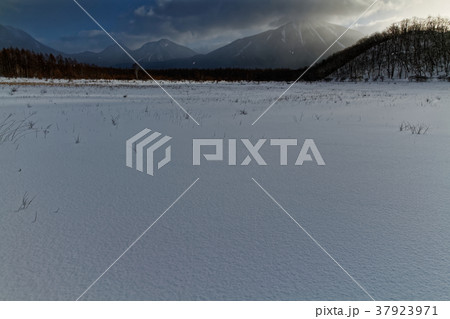 厳冬の小田代ヶ原と男体山方面の山並み 37923971