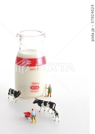 酪農 37924024