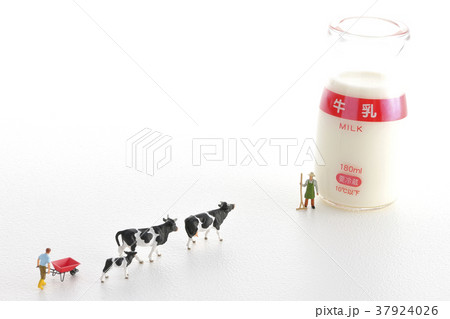 酪農 37924026