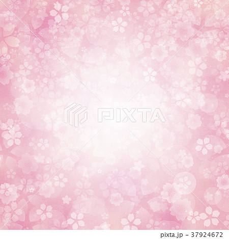 桜の背景素材 37924672