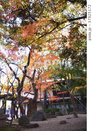 湊川神社 37925172