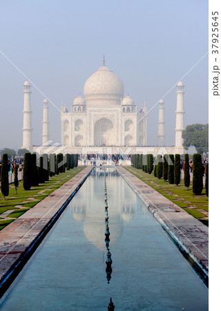 タージマハル タージマハル 37925645