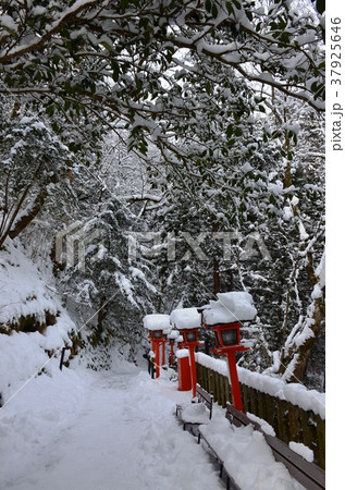 冬の鞍馬寺 冬の鞍馬寺 37925646