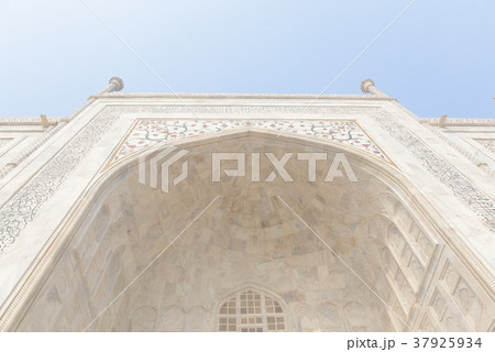 タージマハル タージマハル 37925934