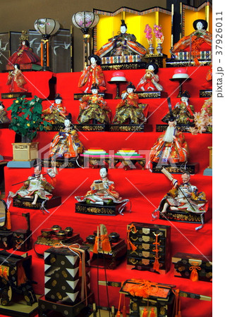 歴史ある段飾りびな展示(新倉ふるさと民家園) 歴史ある段飾りびな展示(新倉ふるさと民家園) 37926011