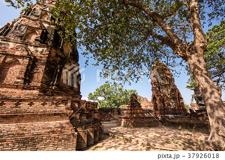 タイ　アユタヤ　ワット・マハタート 37926018